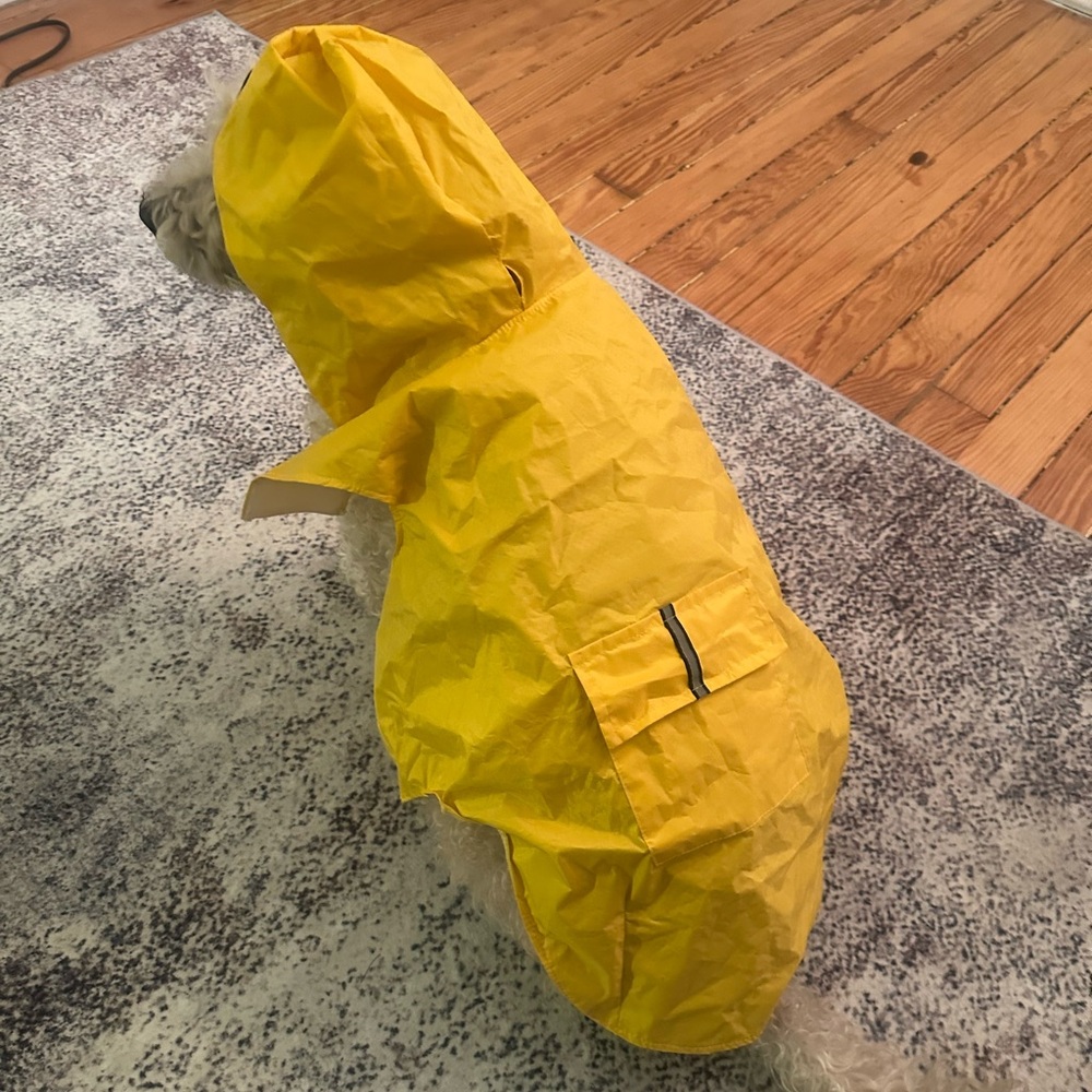 Yellow Dog Raincoat